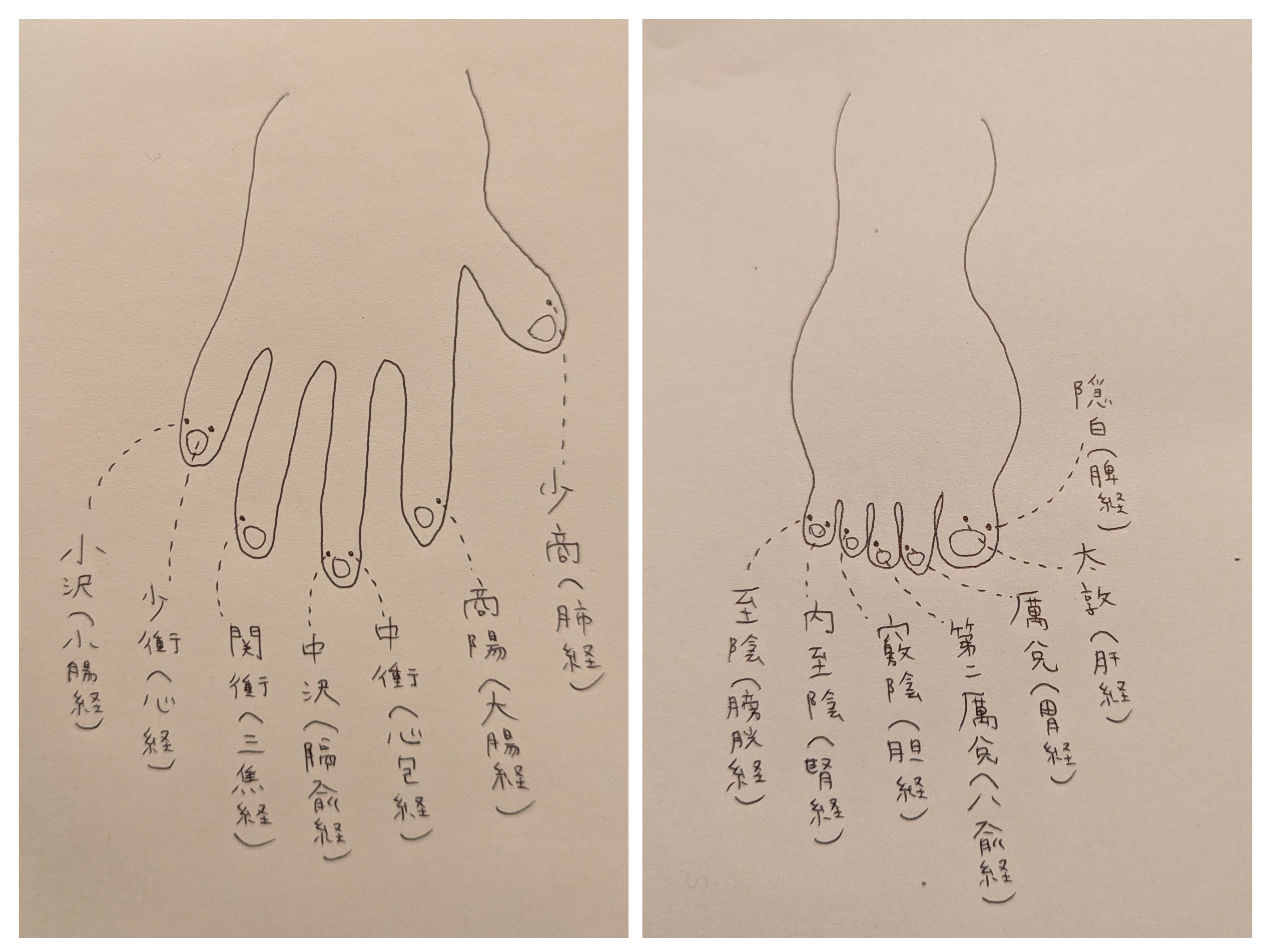 20240119_215307-COLLAGE.jpg